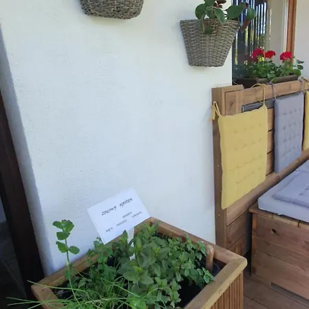 Dom Letniskowy Martynka *